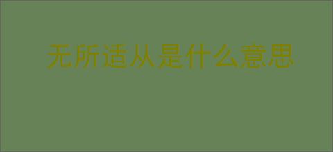 无所适从是什么意思