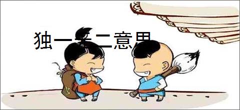 独一无二意思