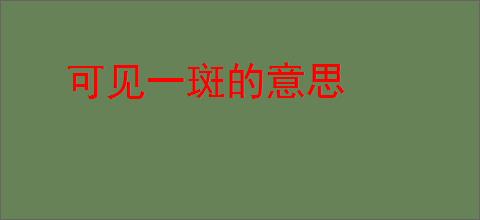可见一斑的意思