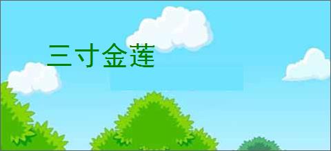 三寸金莲