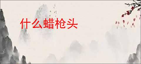 什么蜡枪头