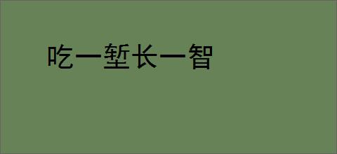 吃一堑长一智