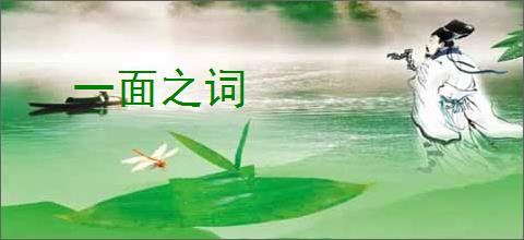 一面之词