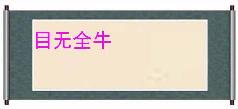 目无全牛